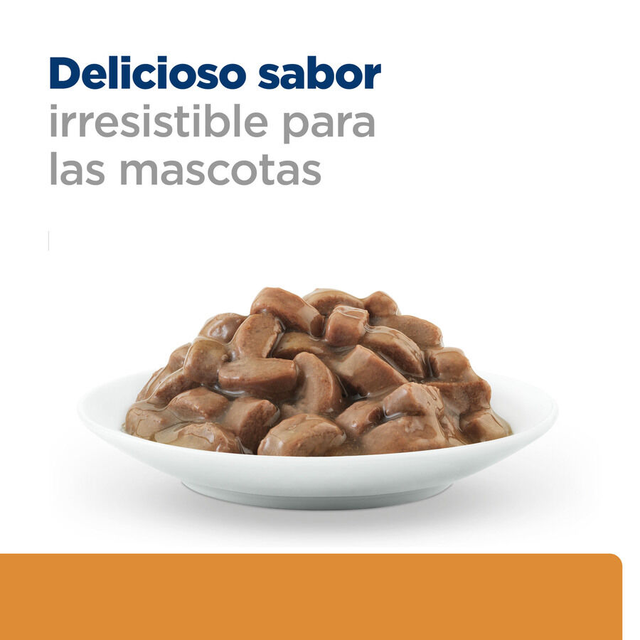 12 saquetas x 85 g Hill's Prescription Diet Kidney Care Salm&atilde;o saqueta em molho para gatos, , large Imagem n&uacute;mero 8